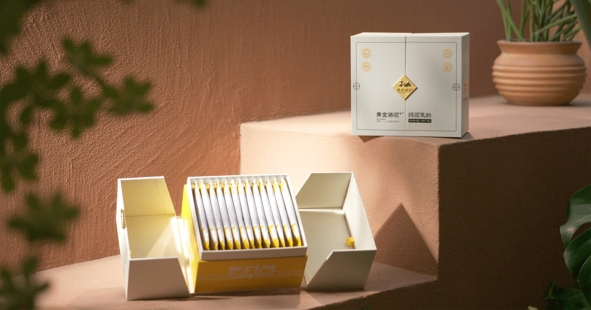 定位小众高端乳粉，J9国际站登录推出驼奶品牌“黄金骆驼+”，角逐乳品新市场！